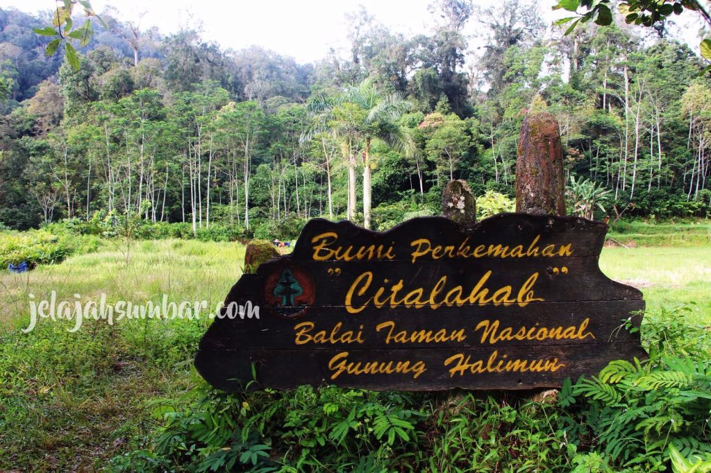 Bumi Perkemahan Citalahab, Tempat Kemah Asik di Taman Nasional Gunung
