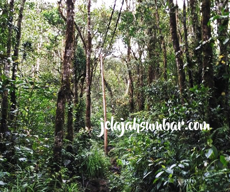 Jalur pendakian gunung singgalang