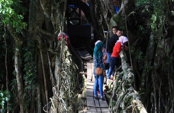 Pengunjung Jembatan Akar Bayang