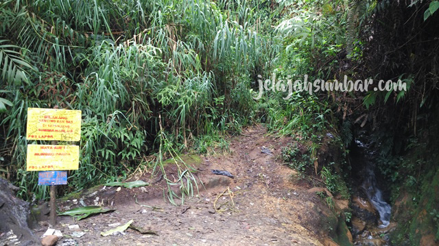 jalur_gunung_singgalang