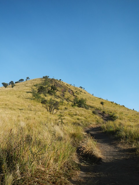 Jalan menanjak menuju Puncak Gunung Merbabu