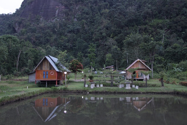 Syafiq Homestay, untuk menyewa cottage sekaligus lahannya hanya dikenakan Rp. 1.500.000