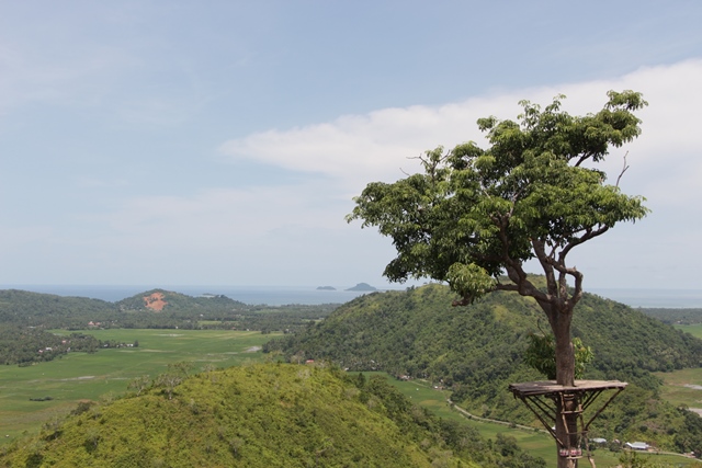 Rumah pohon di Bukit Bendera yang instagramable banget