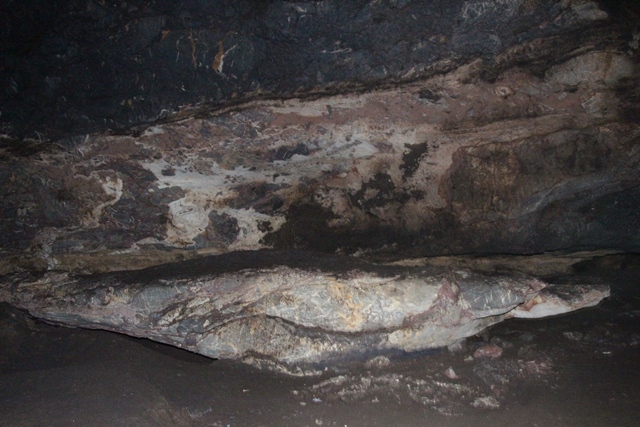 Batu yang menyerupai buaya