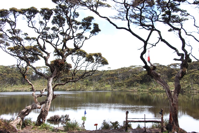 Telaga Dewi di Gunung Singgalang