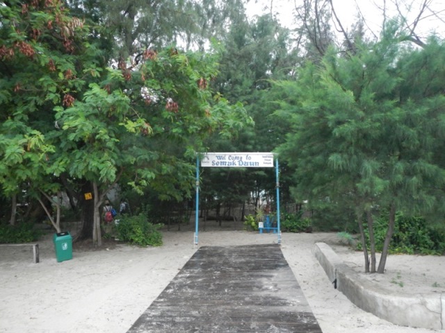 Pulau Semak Daun