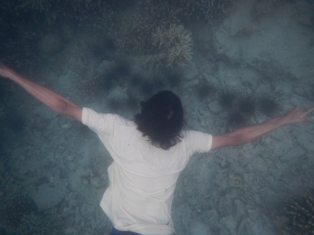 Spot snorkeling-nya banyak bulu babi