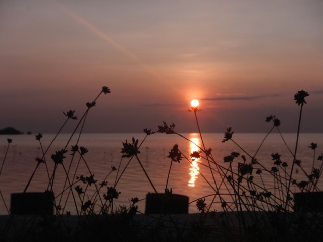 Sunrise Pulau Papatheo