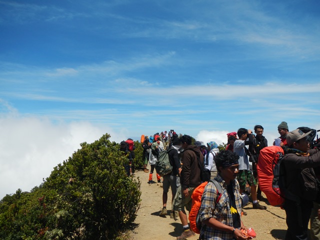 Suasana di Puncak Gede waktu itu 