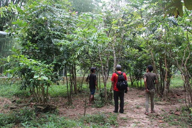 Mencari si mungil tarsius