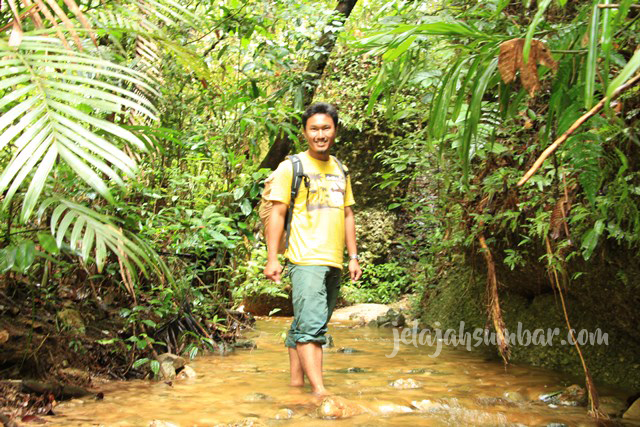 Welcome to the jungle!