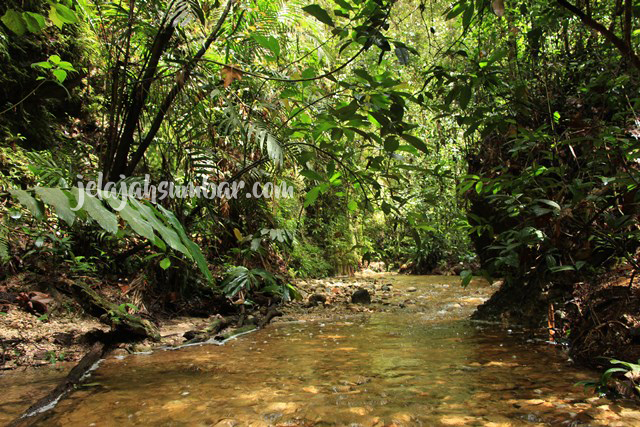 Melewati sungai kecil berair dangkal