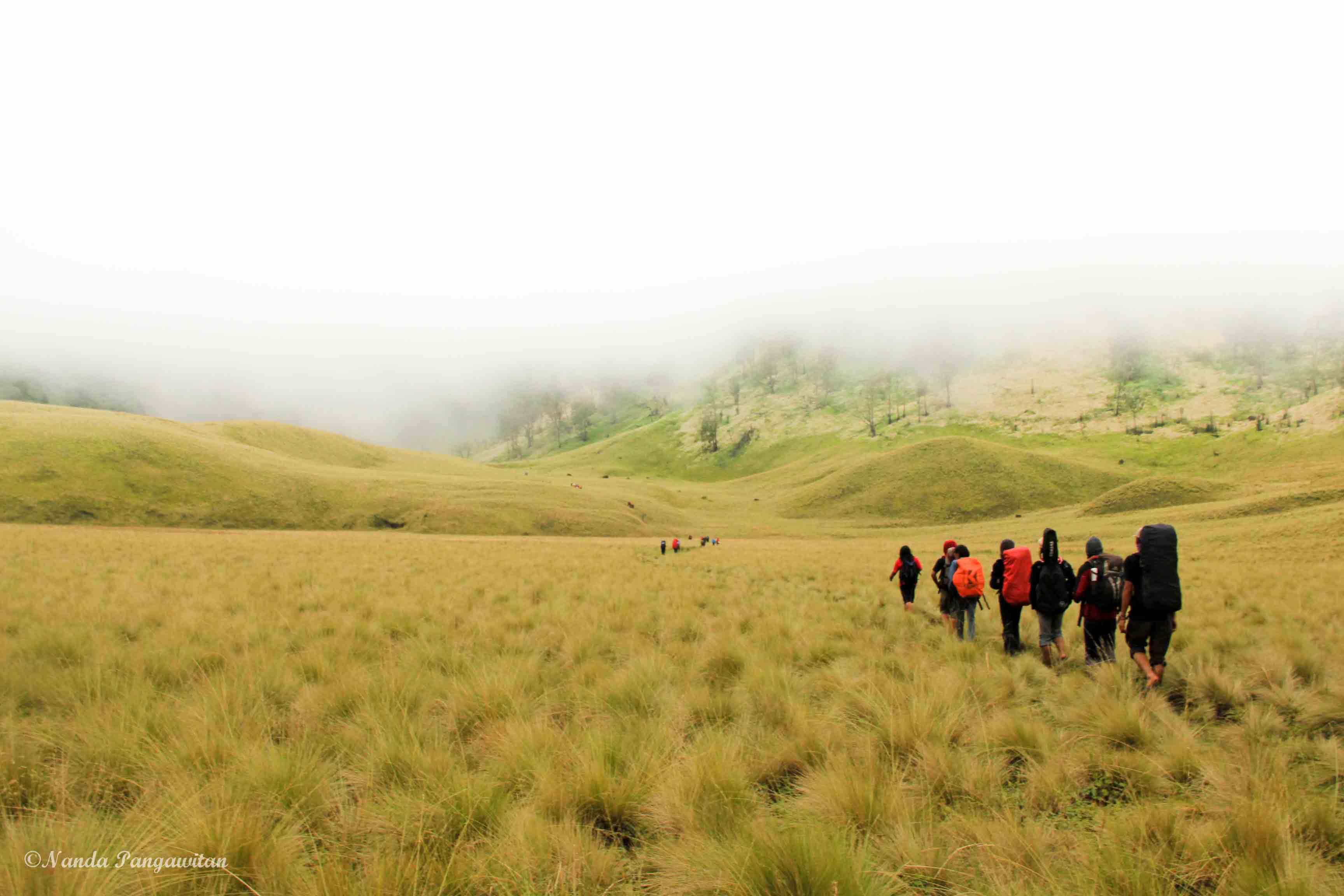 Selain team leader, dalam sebuah kelompok pendakian juga harus ada seseorang yang ditunjuk sebagai sweeper yang ketika dalam pendakian menjadi orang yang paling belakang untuk memastikan tidak ada rekannya yang tertinggal
