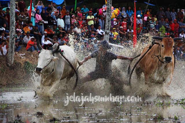 Efek cipratan lumpur membuatnya dramatis bila diabadikan dalam sebuah foto