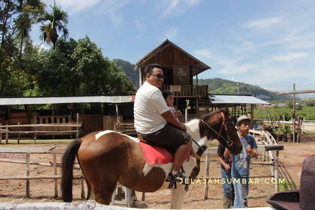 wisata_berkuda_lembah_harau