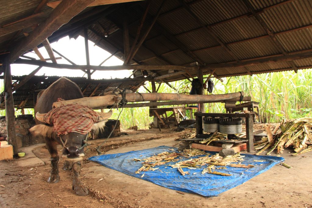 kilang tebu nagari lawang